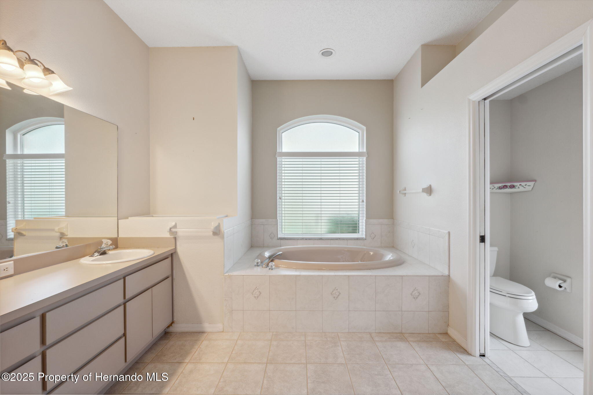 10296 Palmgren Lane, Spring Hill, Florida image 26