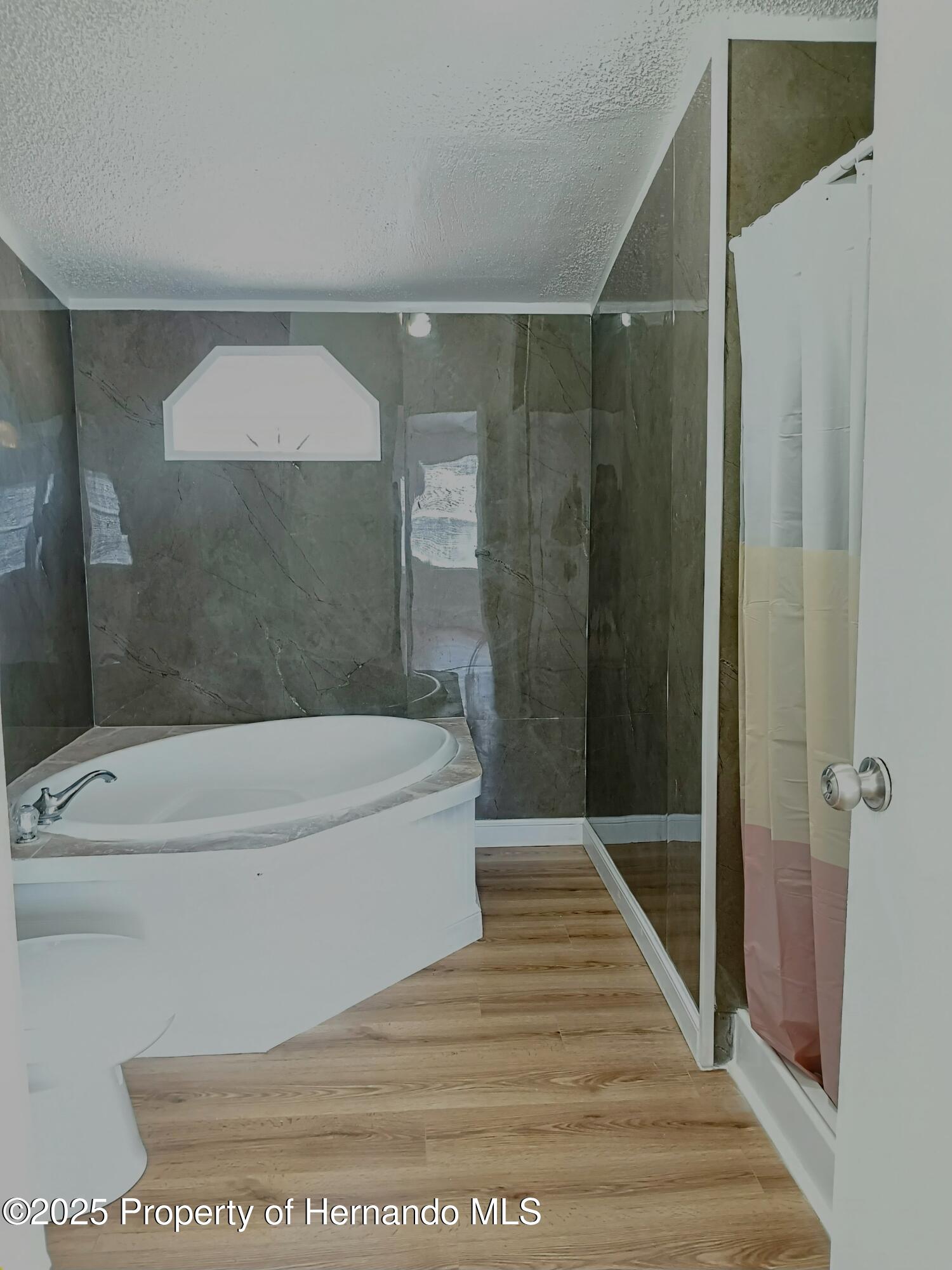 3863 W Klett Path, Lecanto, Florida image 33