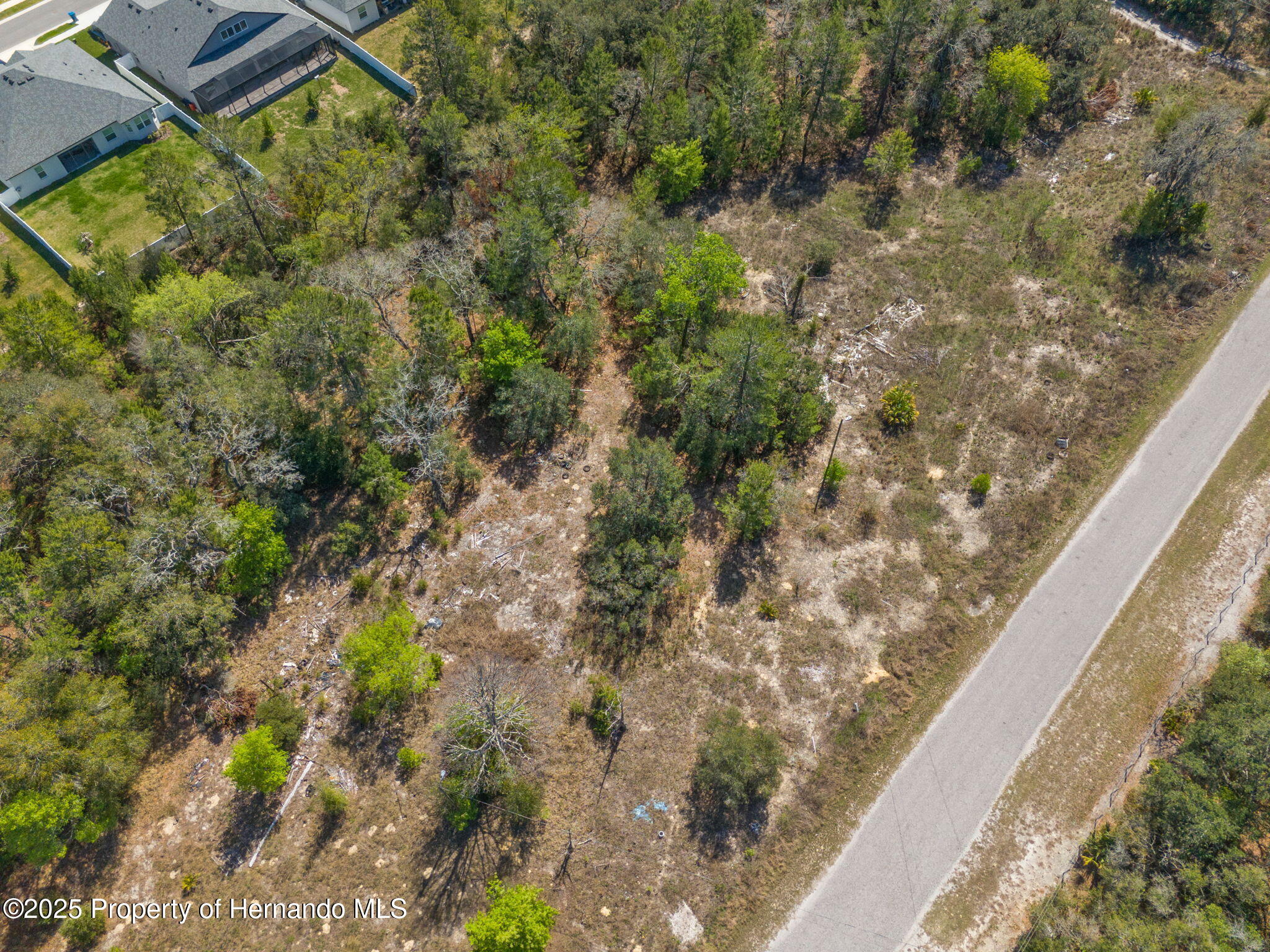 Carlton Street, Spring Hill, Florida image 9