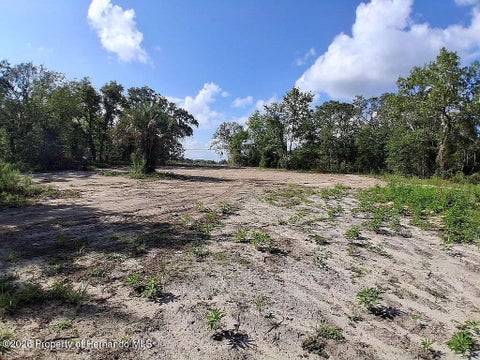 Vacant Land For Sale - 15750 Larry Road<br/> Pasco County, Spring Hill(Pasco), FL 34610