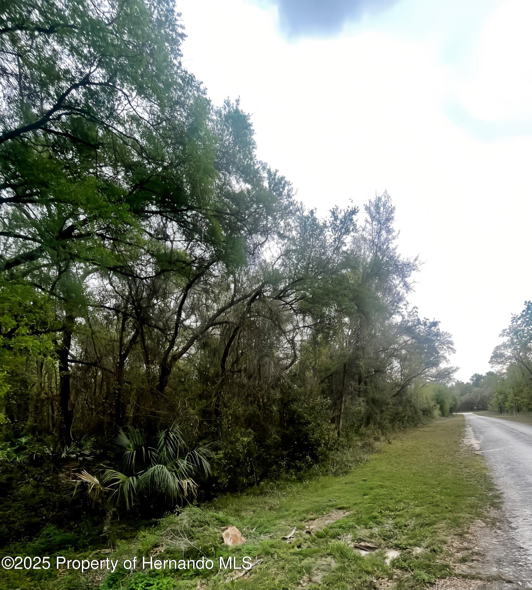 7354 Wagers Dr Dr, Webster, Florida image 4