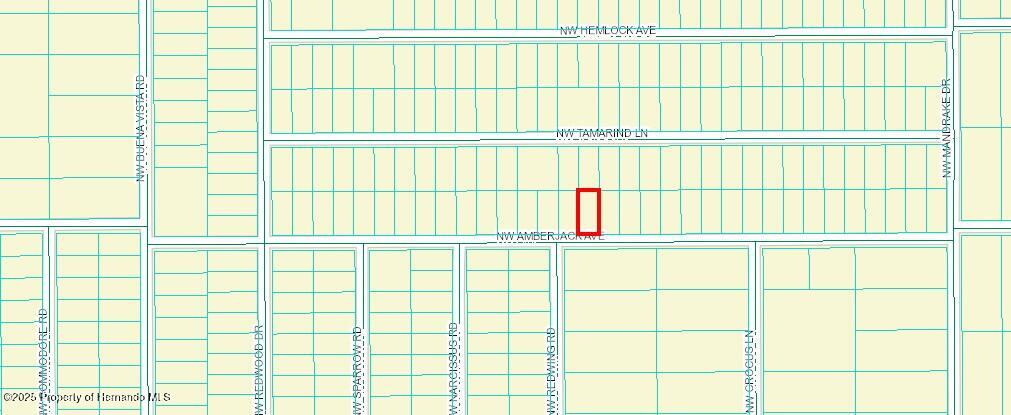 452173 Nw Amberjack Avenue, Dunnellon, Florida image 2