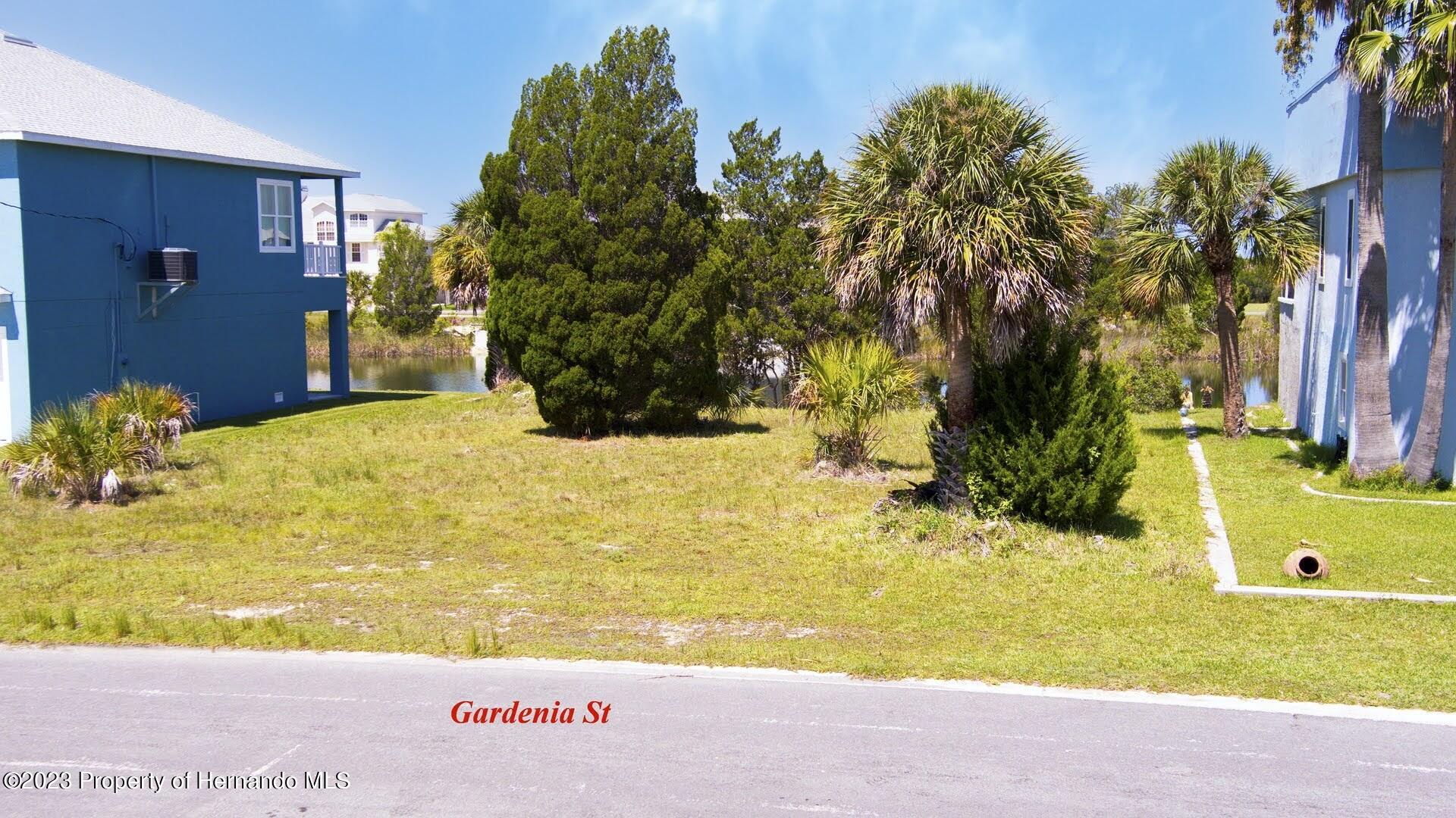 Gardenia Drive, HERNANDO BEACH, Florida image 3