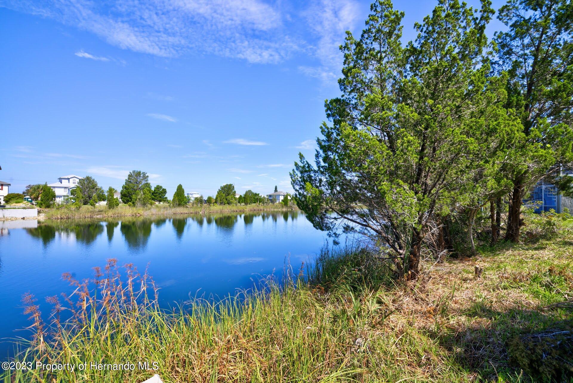 Gardenia Drive, HERNANDO BEACH, Florida image 7