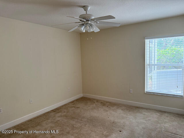 5165 Greystone Drive, Spring Hill, Florida image 17
