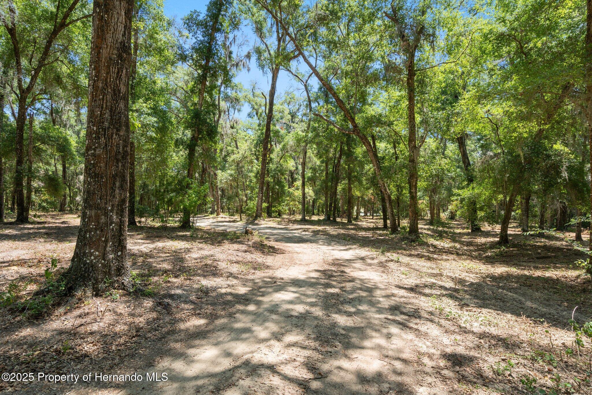 11440 S Pleasant Grove Road, Floral City, Florida image 42