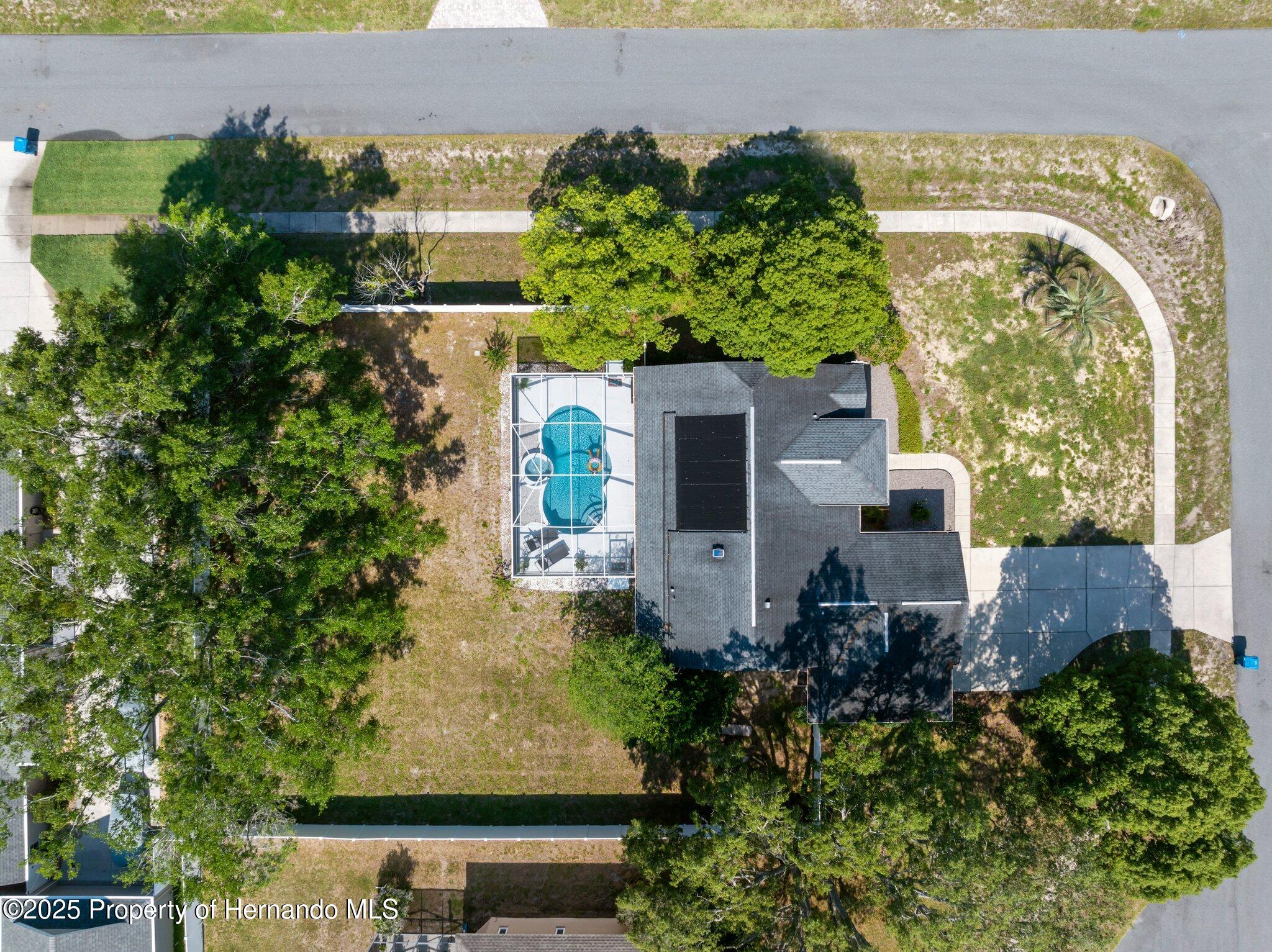 13372 Dewey Court, Spring Hill, Florida image 8