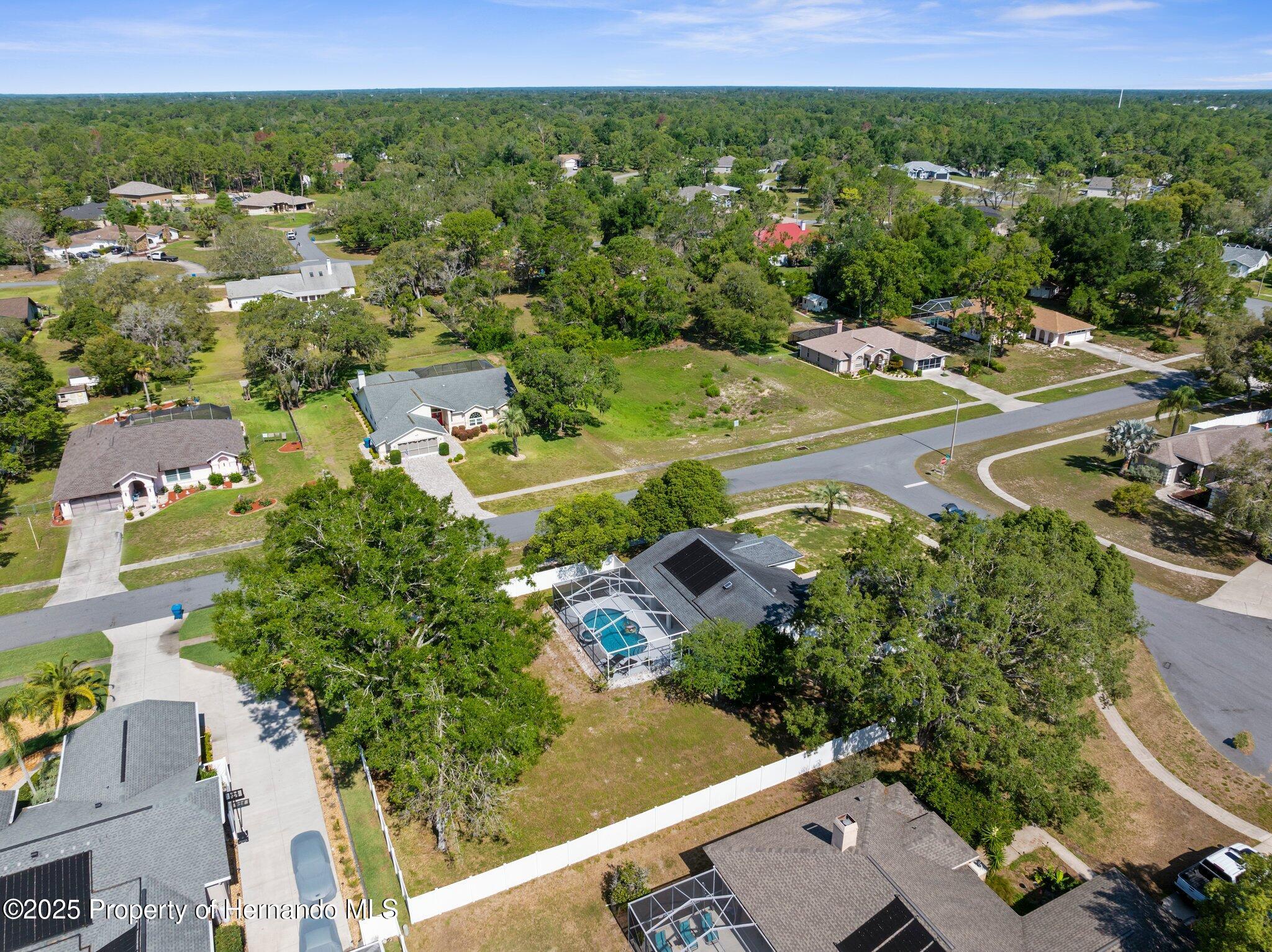 13372 Dewey Court, Spring Hill, Florida image 7