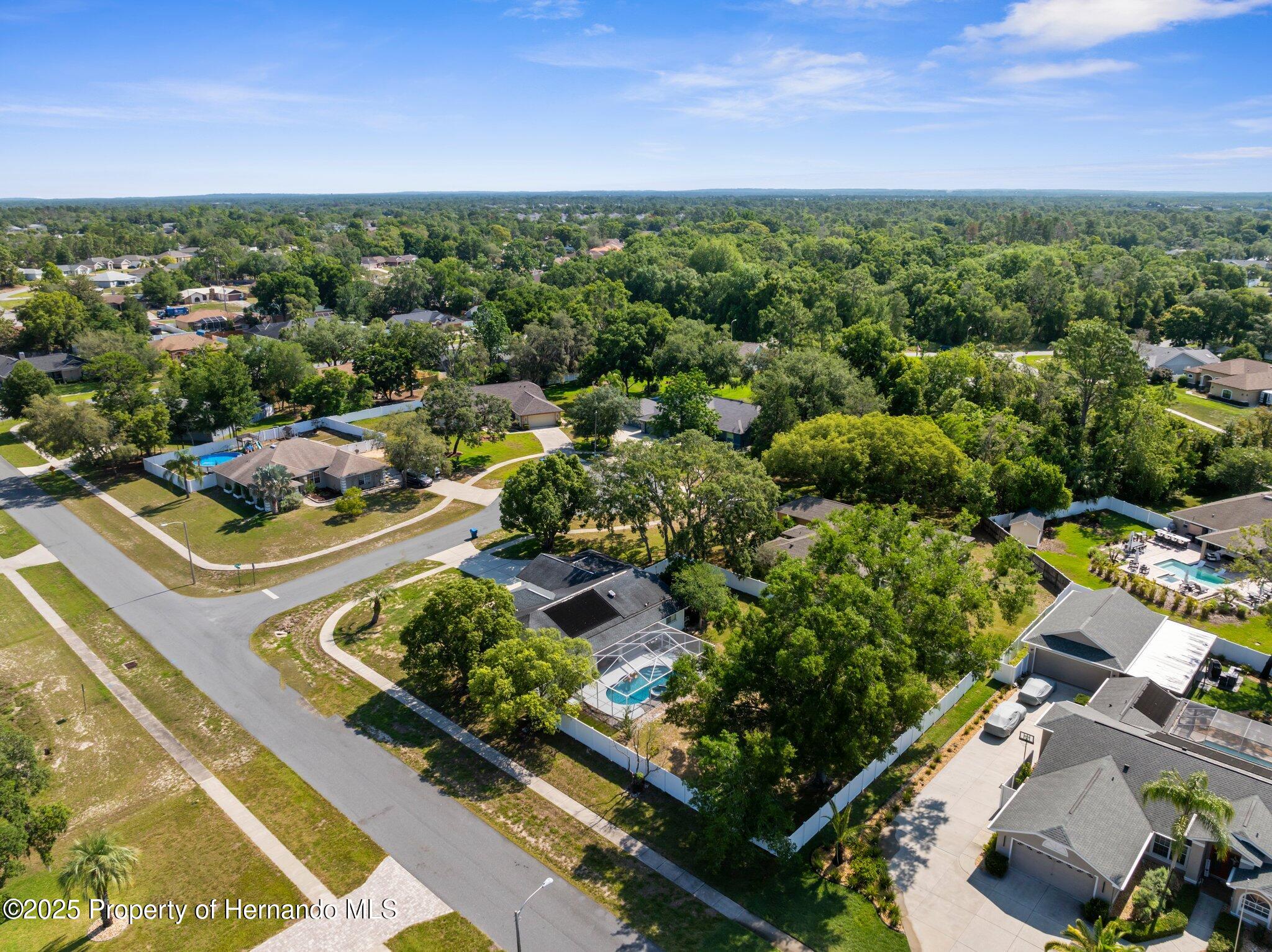 13372 Dewey Court, Spring Hill, Florida image 6