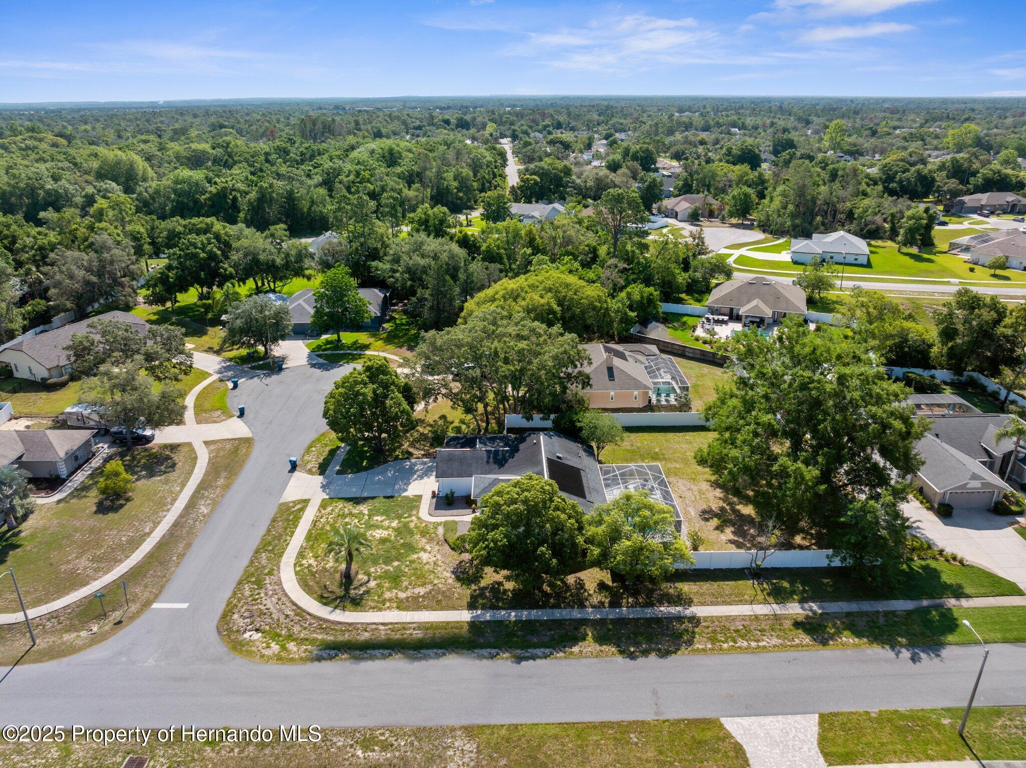 13372 Dewey Court, Spring Hill, Florida image 5