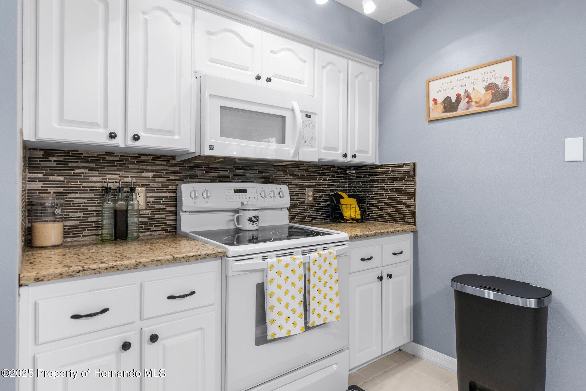 13372 Dewey Court, Spring Hill, Florida image 19
