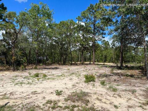 Vacant Land For Sale - 11350 Paoli Court<br/> Weeki Wachee, FL 34614