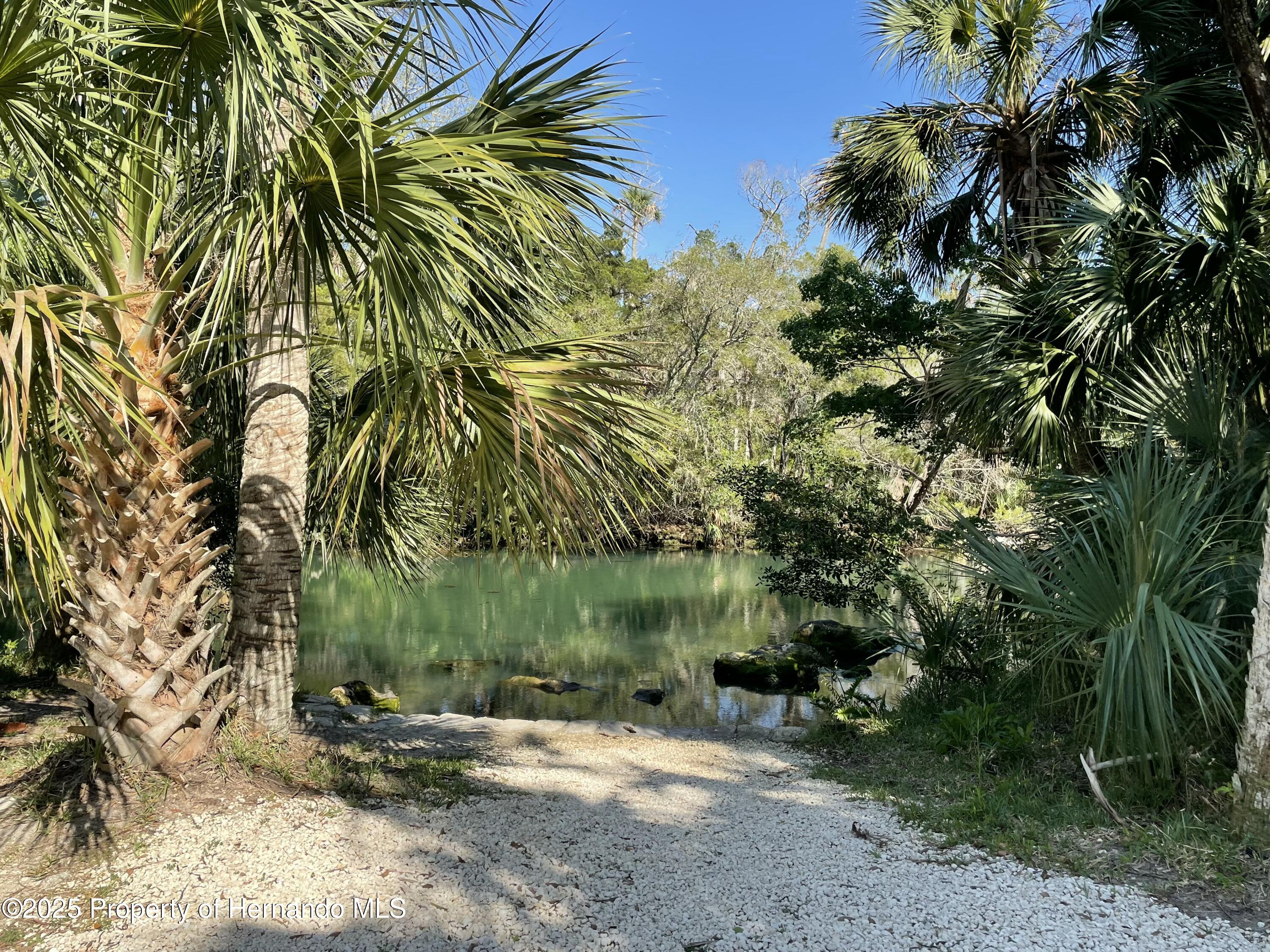 River Point, Weeki Wachee, Florida image 16