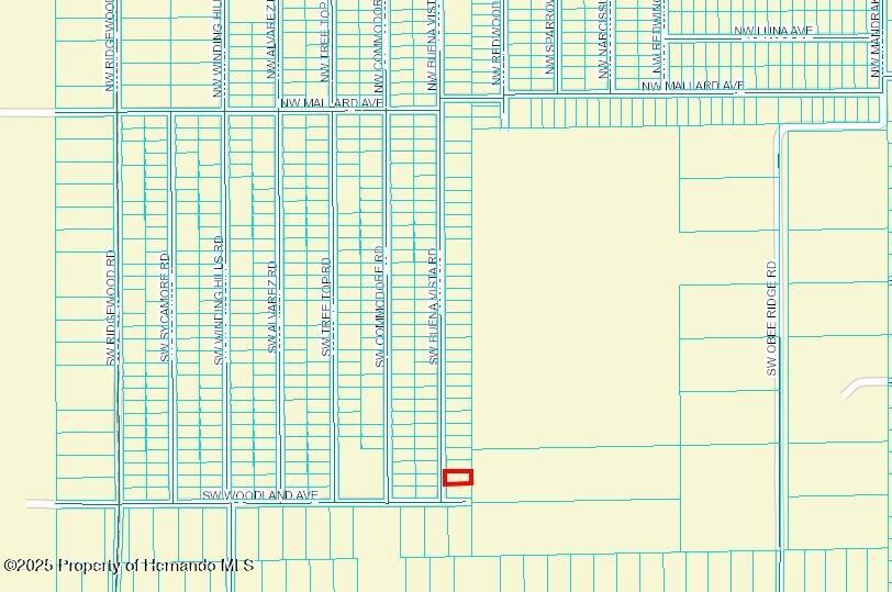 463159 Sw Buena Vista Road, Dunnellon, Florida image 2