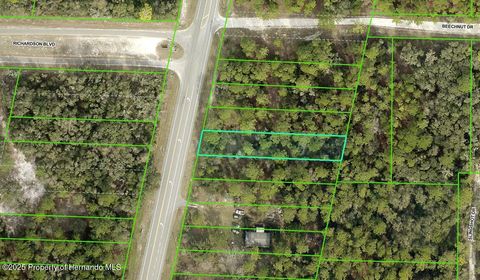 Vacant Land For Sale - Treiman Blvd Lot 15<br/> Webster, FL 33597