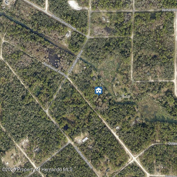 LOT 7 Northwest Avenue, Webster, Florida image 2