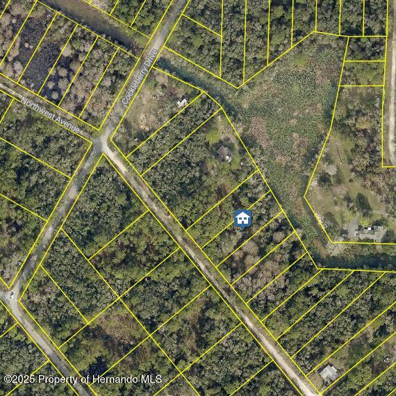 LOT 7 Northwest Avenue, Webster, Florida image 1