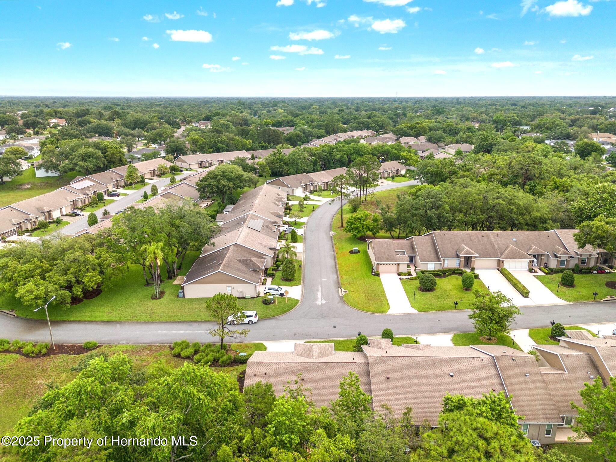 7367 Willow Brook Drive, Spring Hill, Florida image 36
