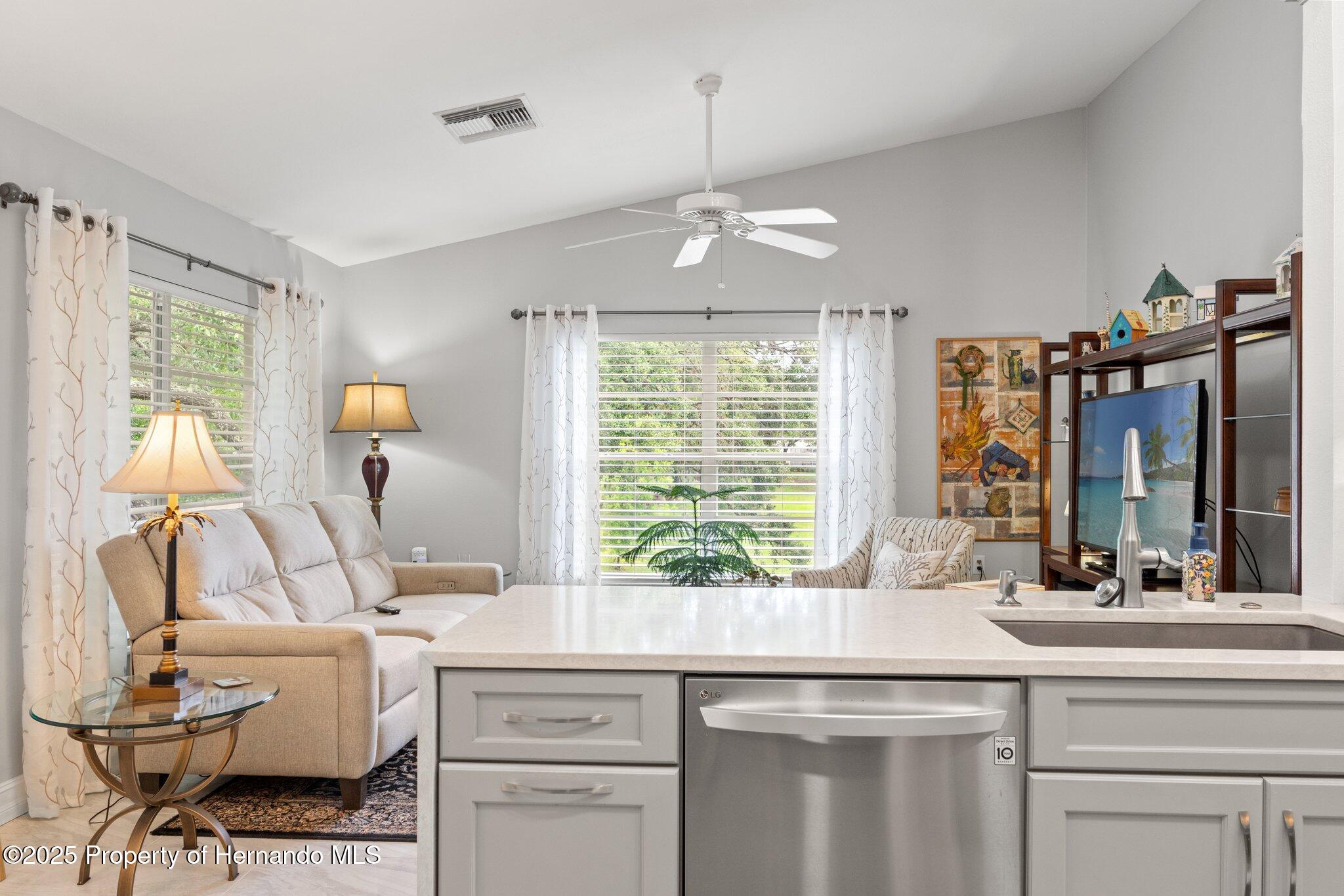7367 Willow Brook Drive, Spring Hill, Florida image 13