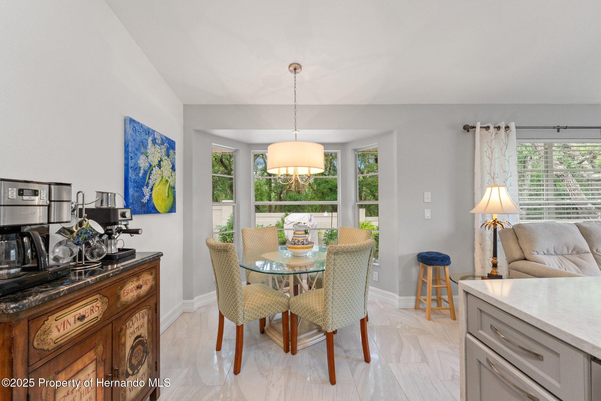 7367 Willow Brook Drive, Spring Hill, Florida image 15