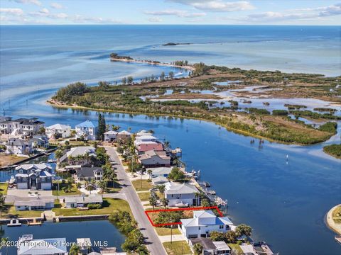 Vacant Land For Sale - 3345 Flamingo Boulevard<br/> HERNANDO BEACH, FL 34607