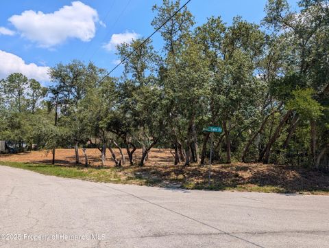 Vacant Land For Sale - Merlin Circle<br/> Ridge Manor, FL 33523