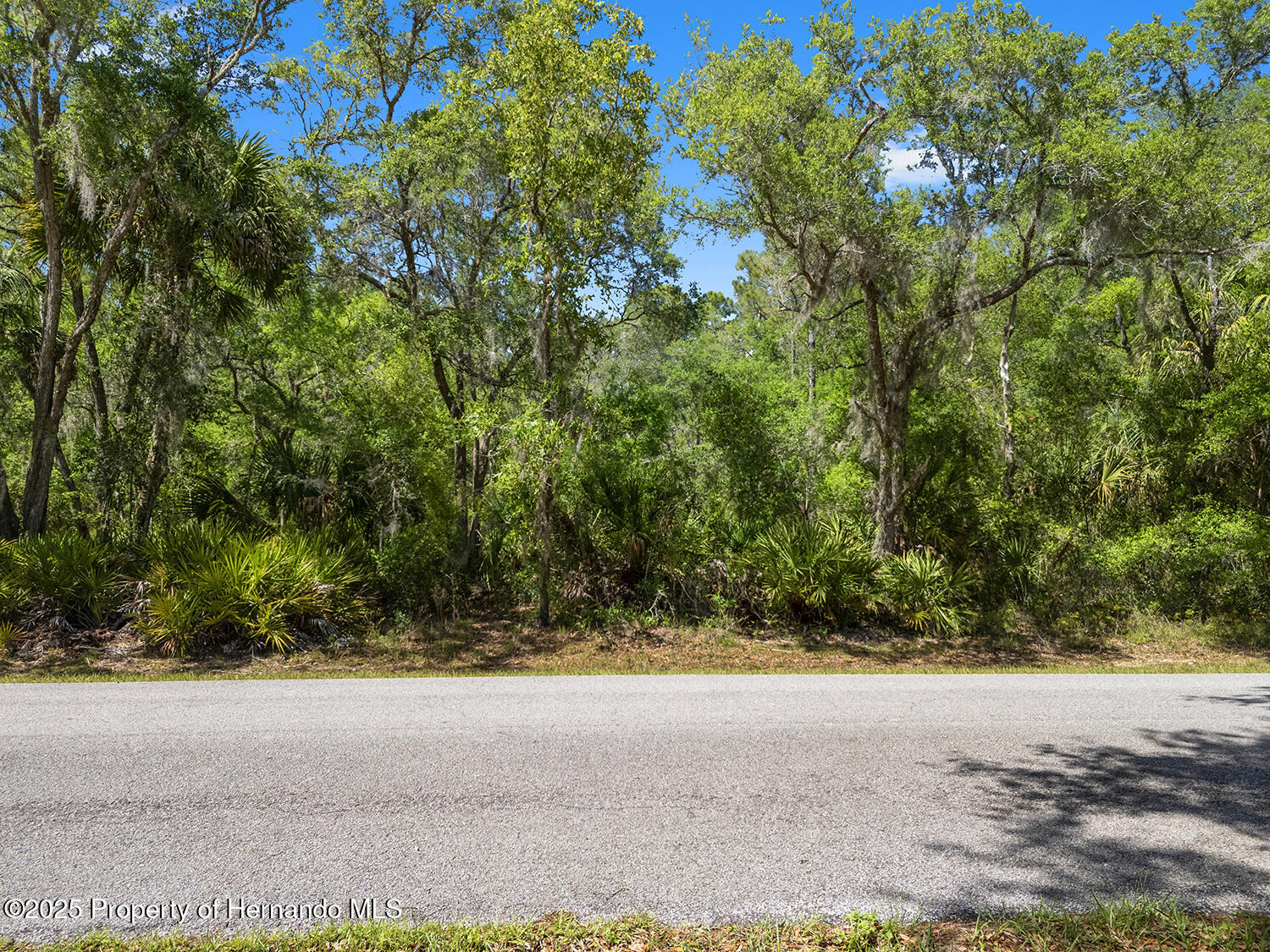 10879 W Dublin Street, Crystal River, Florida image 11