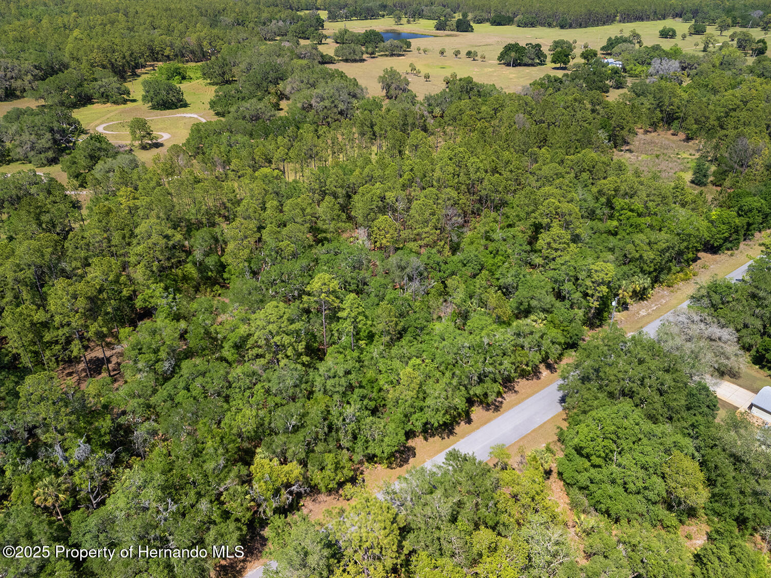 10879 W Dublin Street, Crystal River, Florida image 9