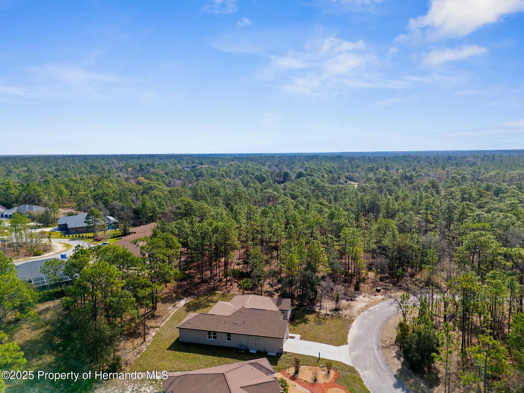 66 Torenia Verbenas Court, Homosassa, Florida image 41