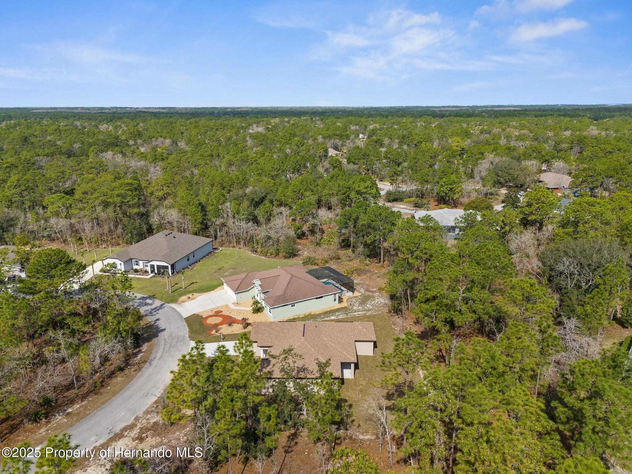 66 Torenia Verbenas Court, Homosassa, Florida image 42
