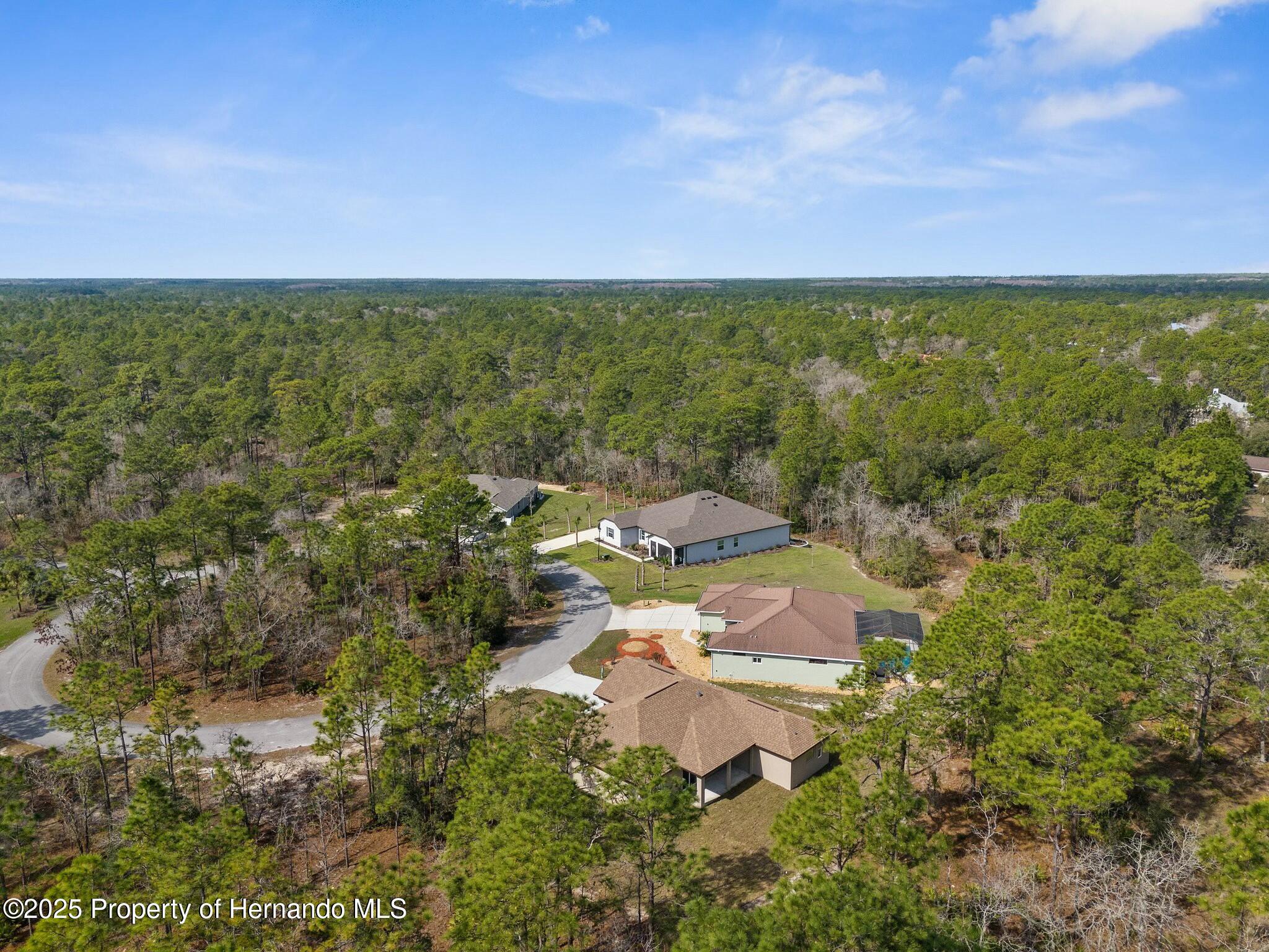 66 Torenia Verbenas Court, Homosassa, Florida image 46