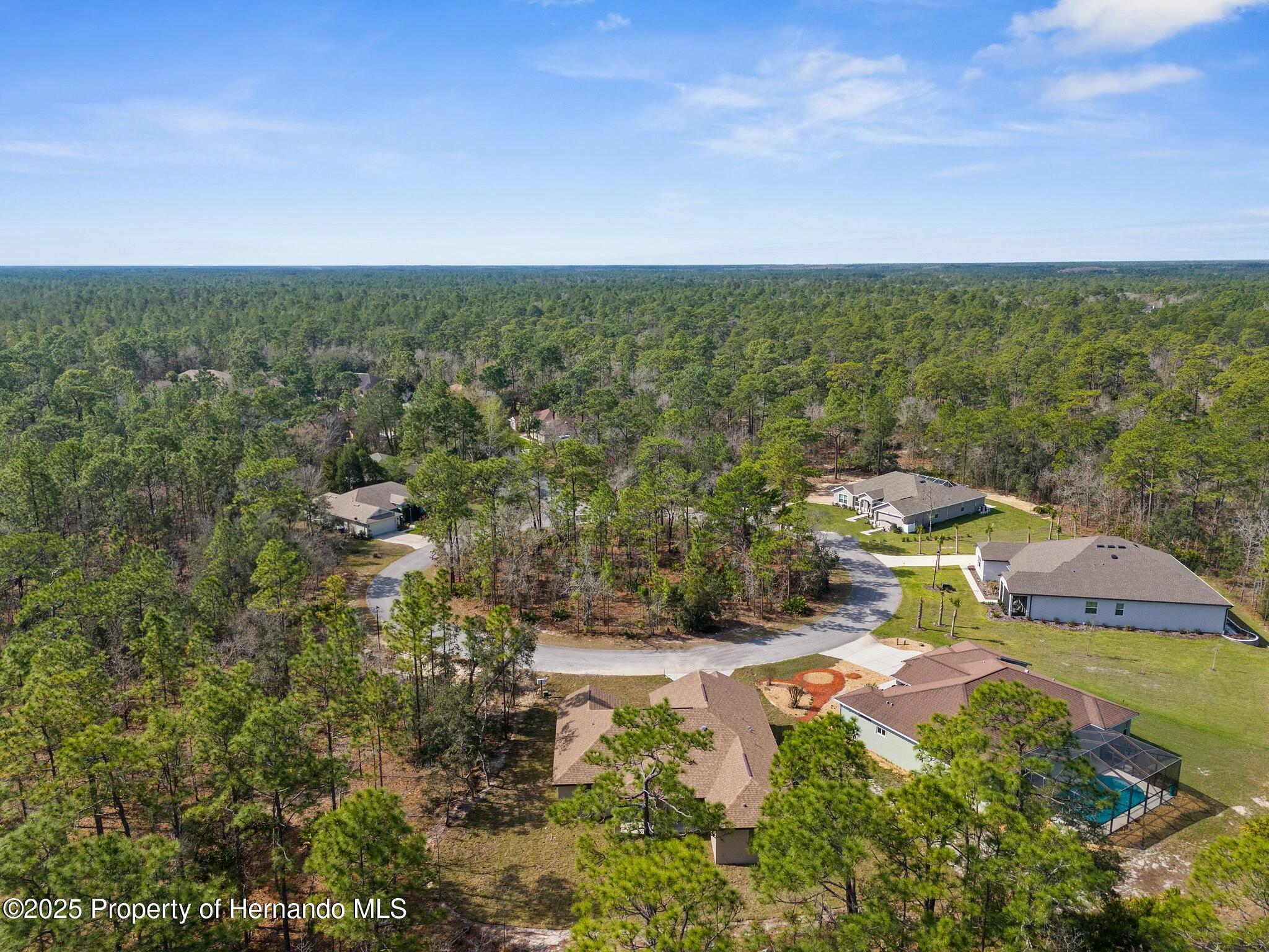 66 Torenia Verbenas Court, Homosassa, Florida image 45