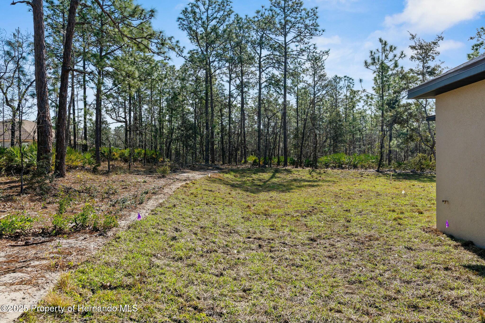 66 Torenia Verbenas Court, Homosassa, Florida image 37