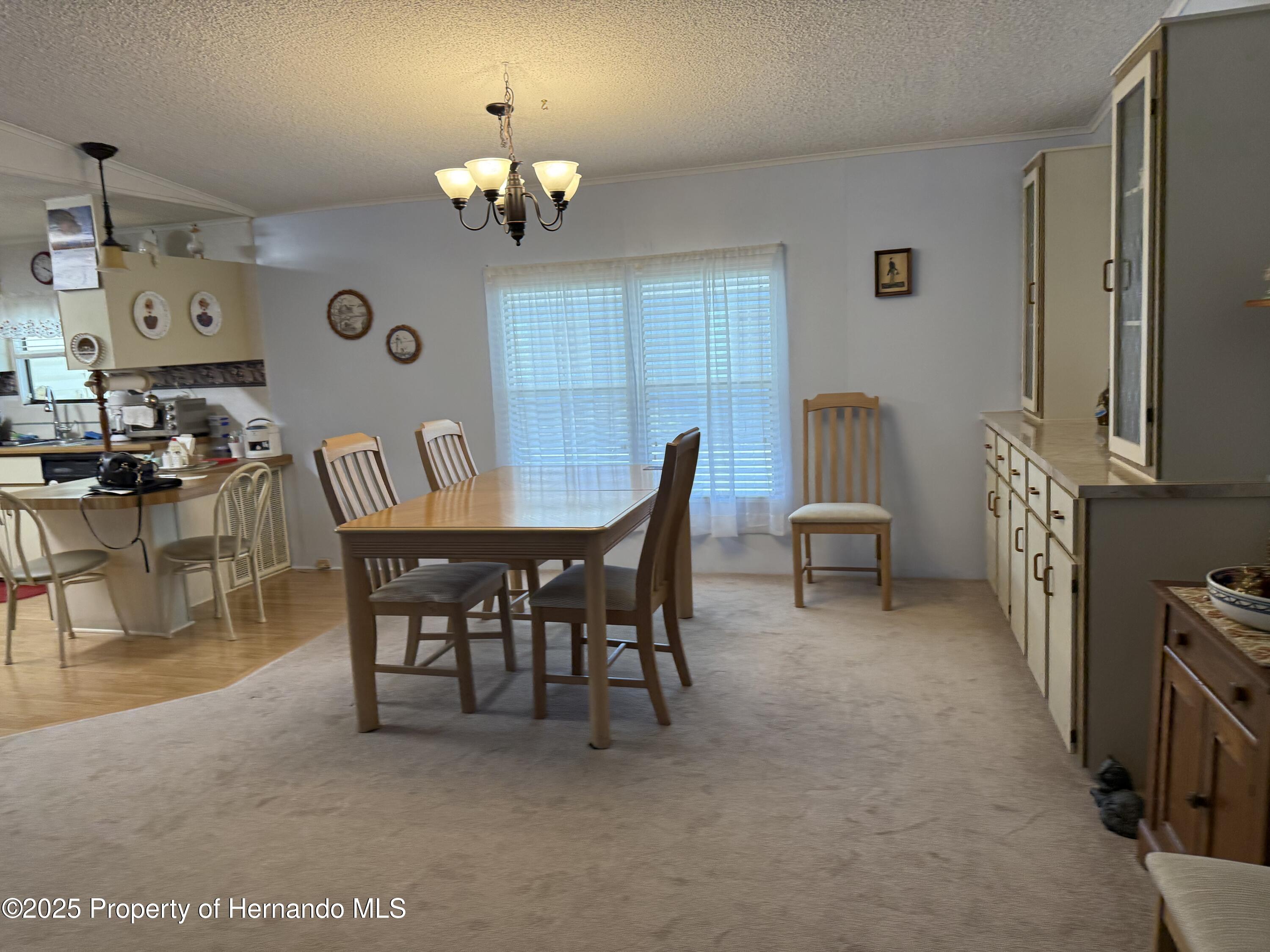 7575 Western Circle Drive, Brooksville, Florida image 13