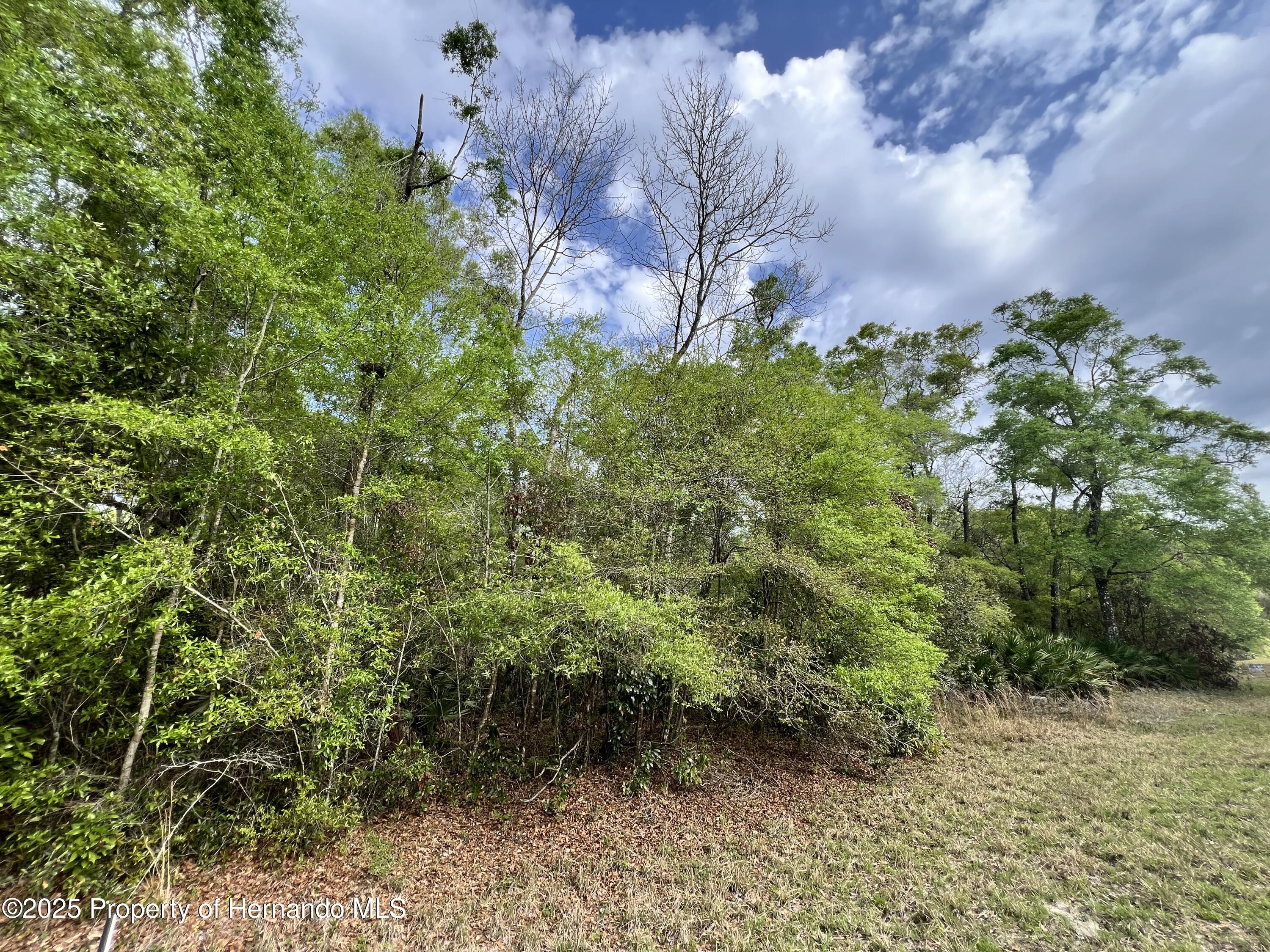 NW 74th Court, Chiefland, Florida image 15