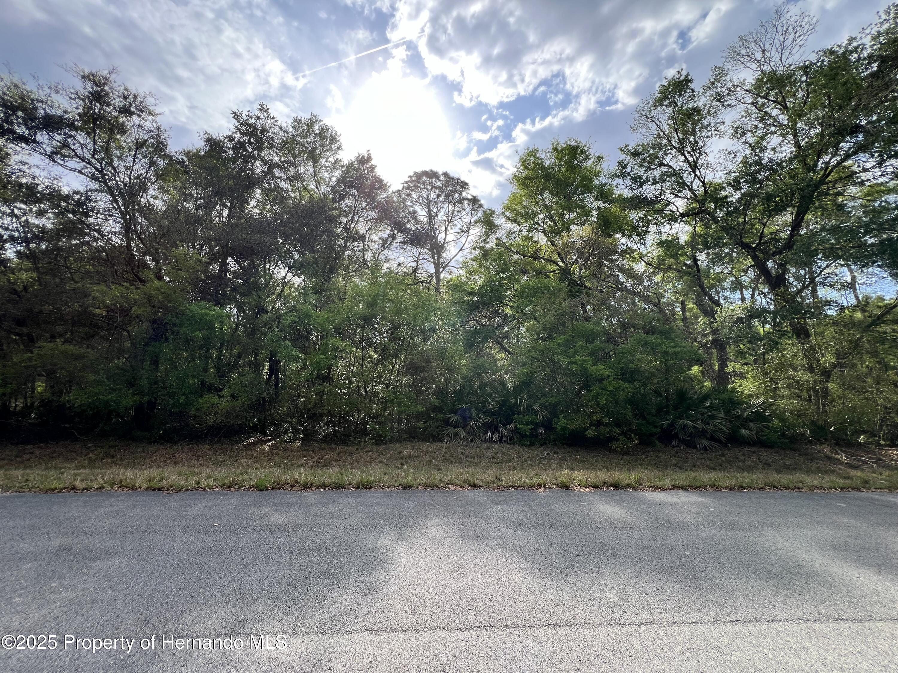 NW 74th Court, Chiefland, Florida image 5