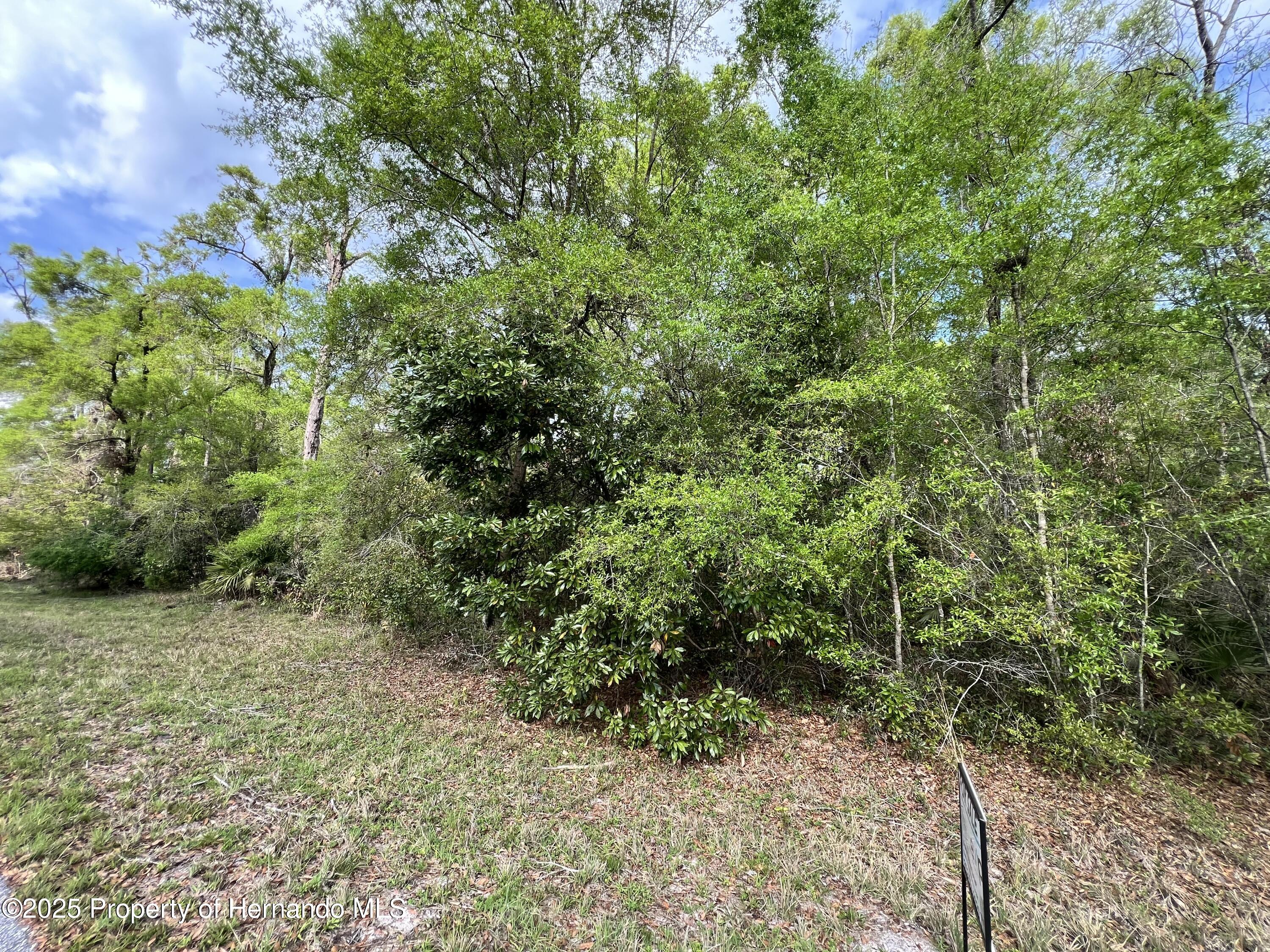 NW 74th Court, Chiefland, Florida image 1