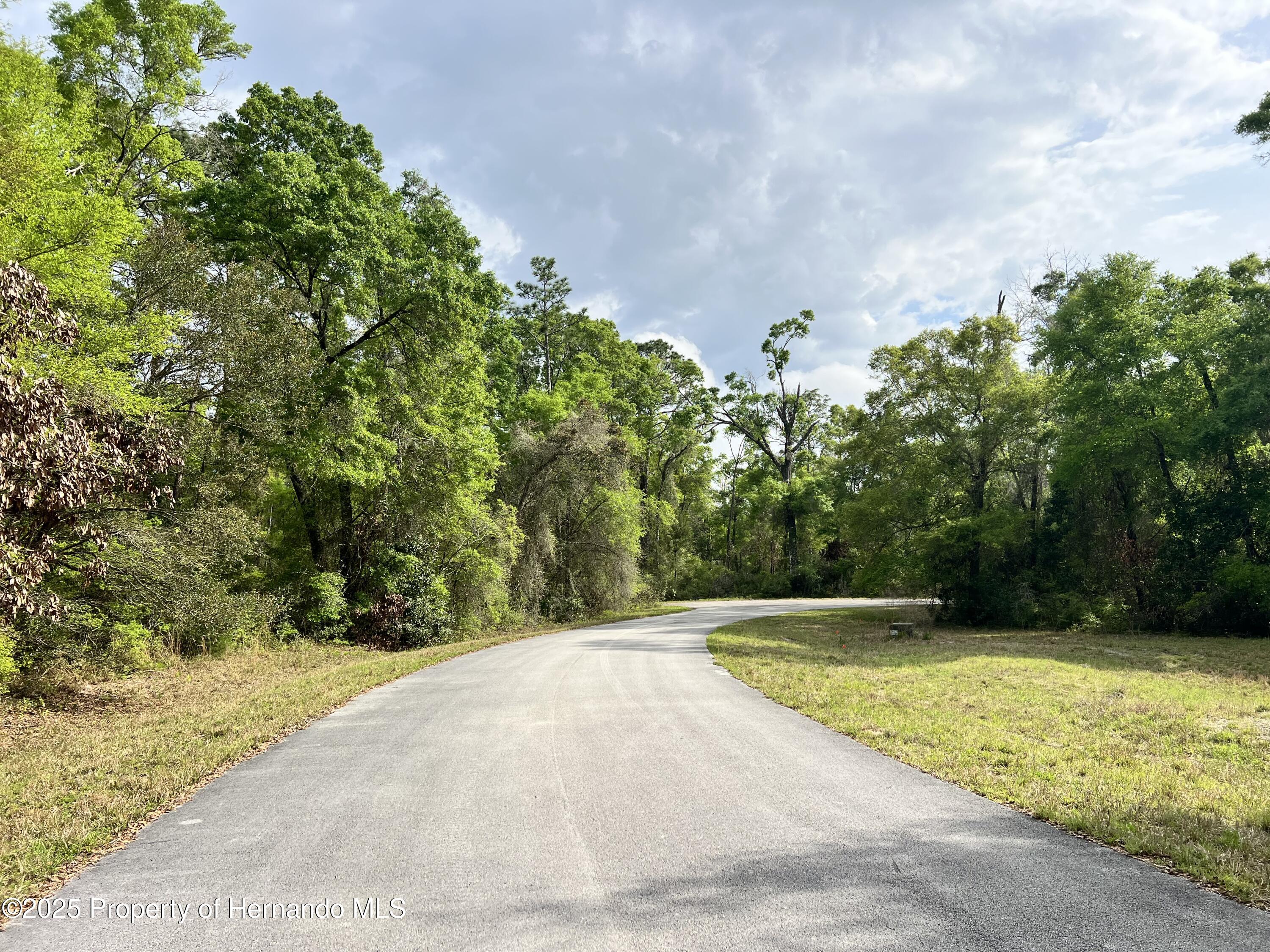 NW 74th Court, Chiefland, Florida image 9
