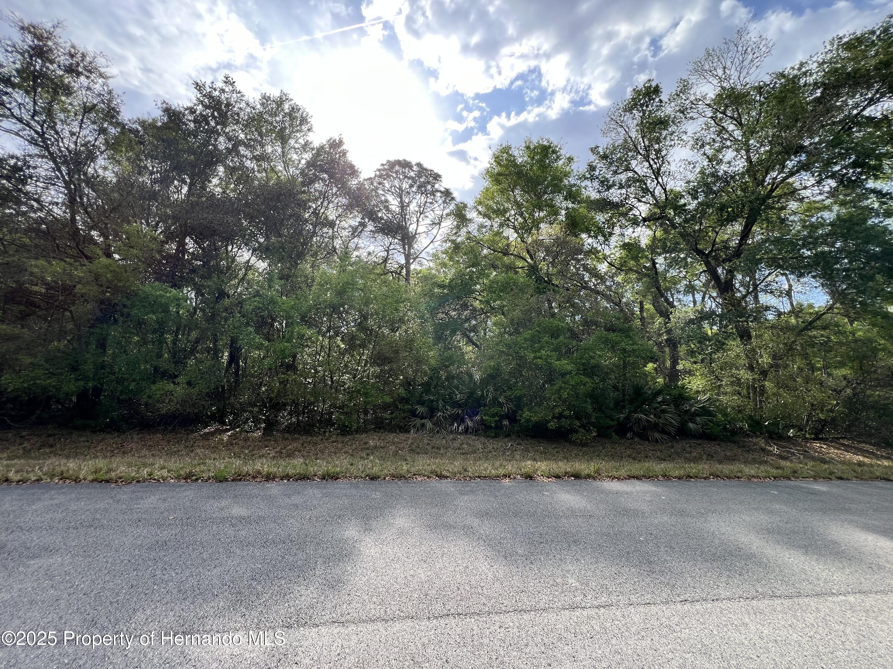 NW 74th Court, Chiefland, Florida image 3