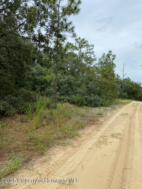 Vacant Land For Sale - 318 S Crestview Avenue<br/> Inverness, FL 34452