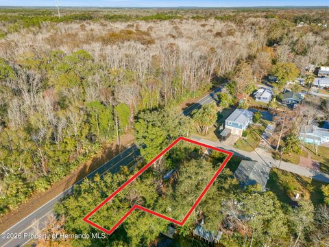 Vacant Land For Sale - 7287 Coventry Court<br/> Weeki Wachee, FL 34607