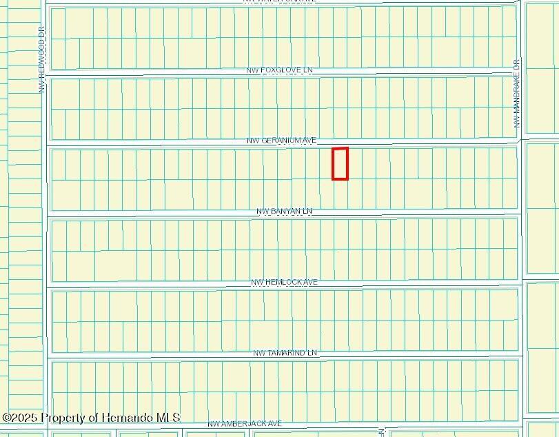 453781 Nw Geranium Avenue, Dunnellon, Florida image 2