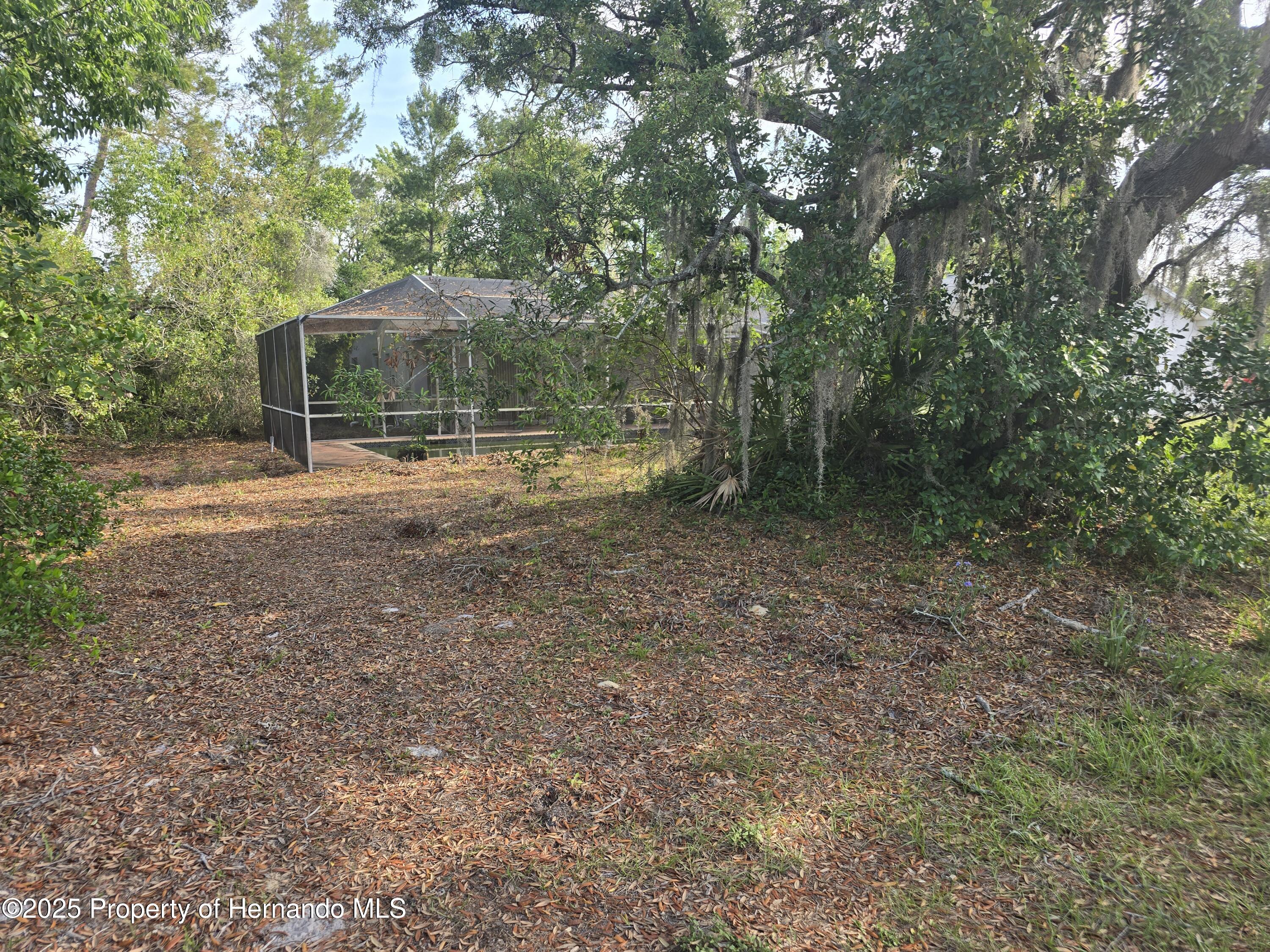 6473 Blackbird Avenue, Weeki Wachee, Florida image 7