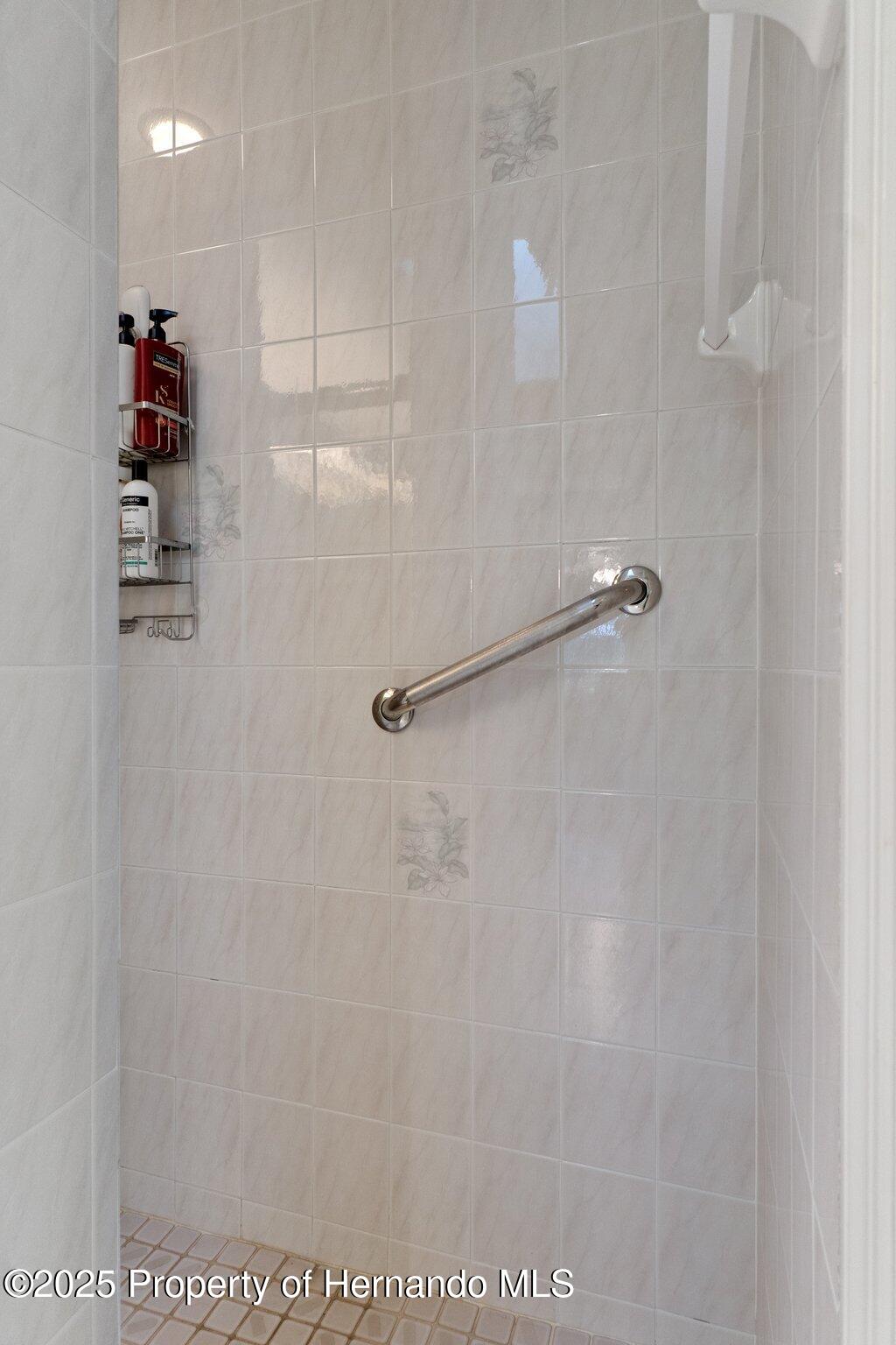 2309 Terrace View Lane, Spring Hill, Florida image 31
