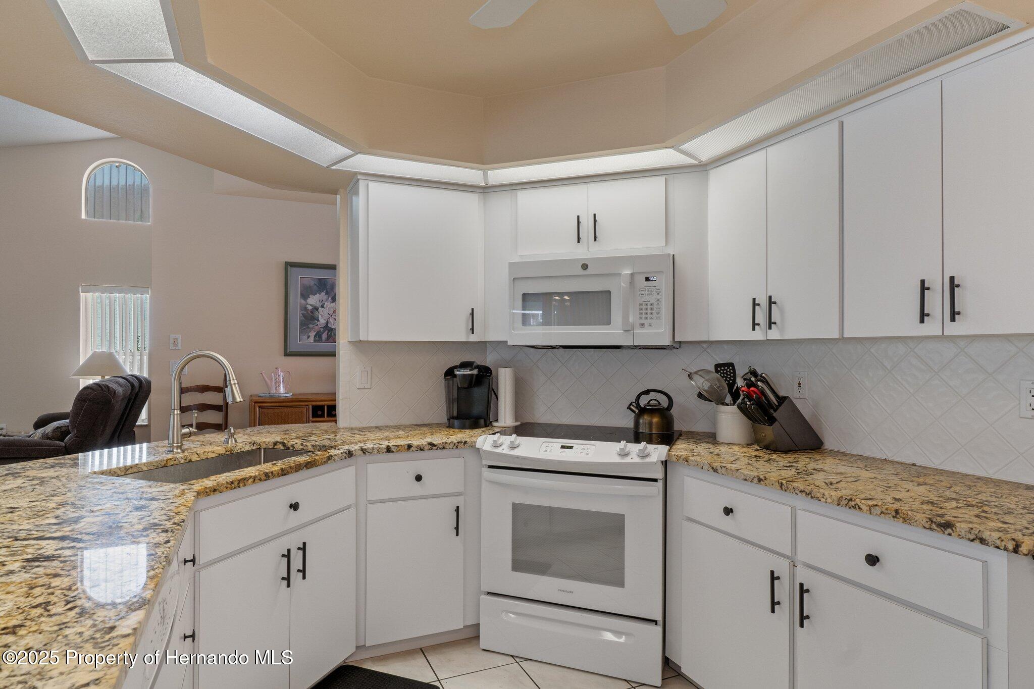 2309 Terrace View Lane, Spring Hill, Florida image 21