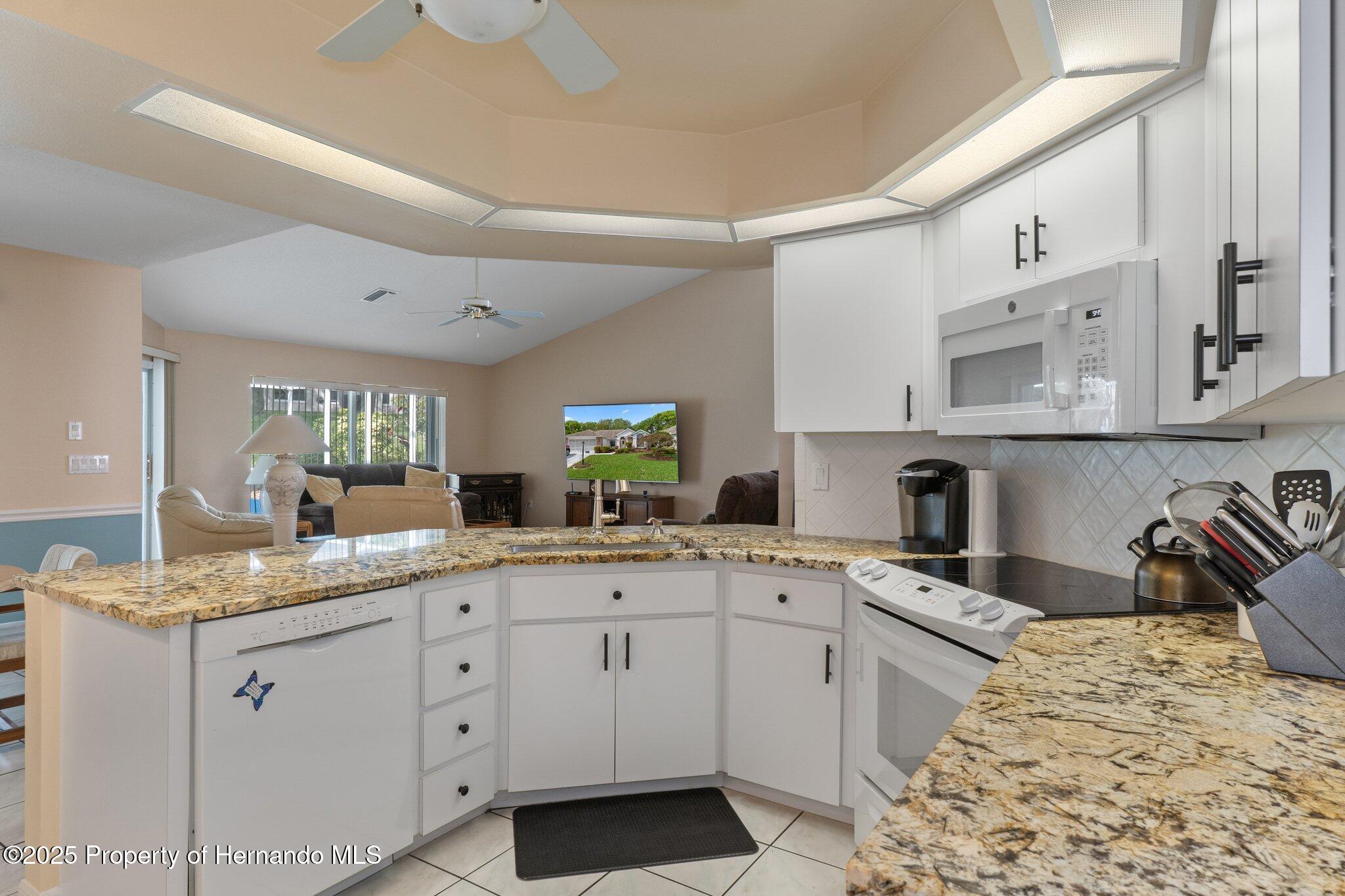 2309 Terrace View Lane, Spring Hill, Florida image 19
