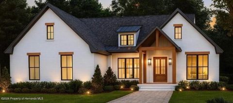 Homes For Sale - 10077 Loretto Street<br/> Spring Hill, FL 34608