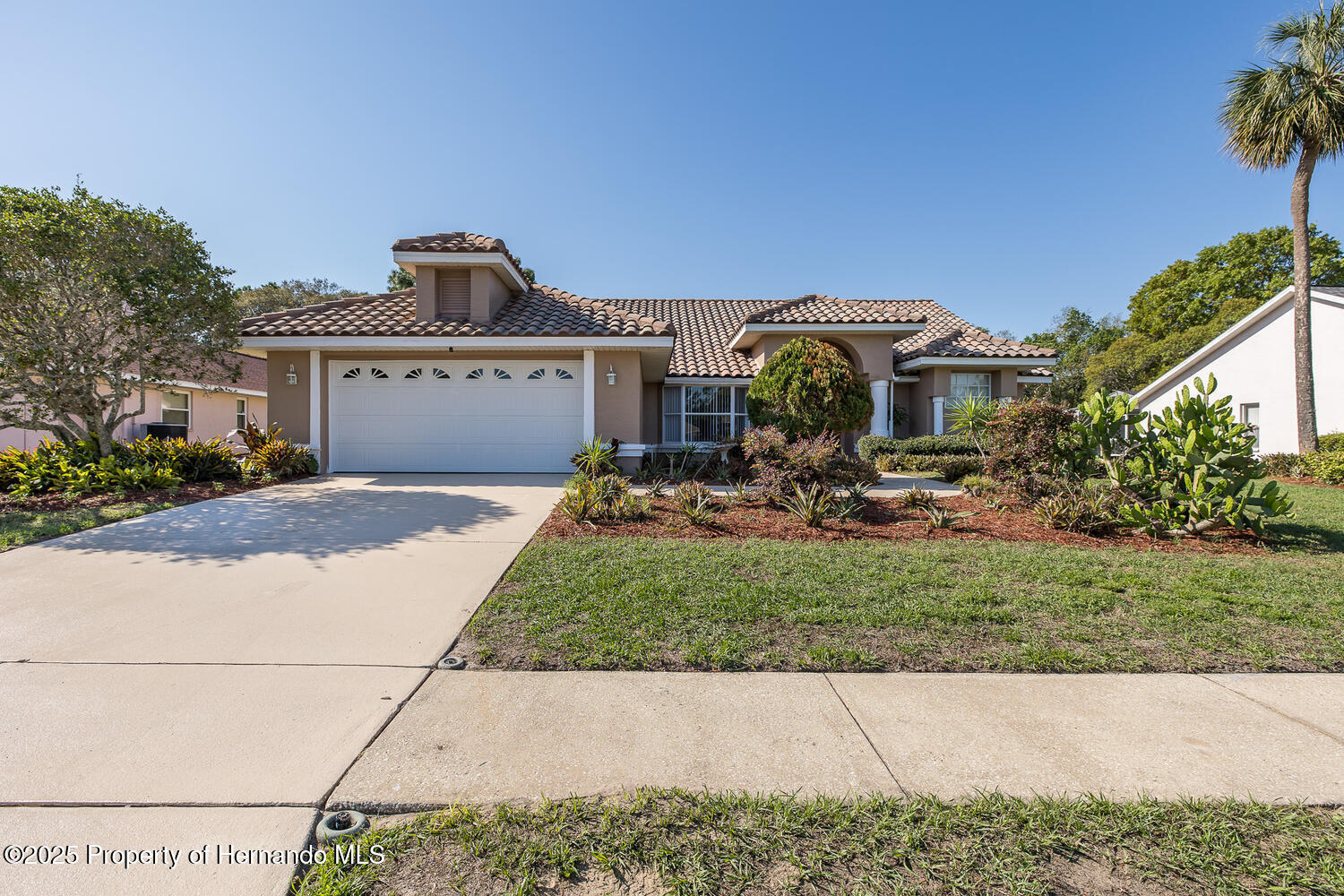 10372 Fairchild Road, Spring Hill, Florida image 5