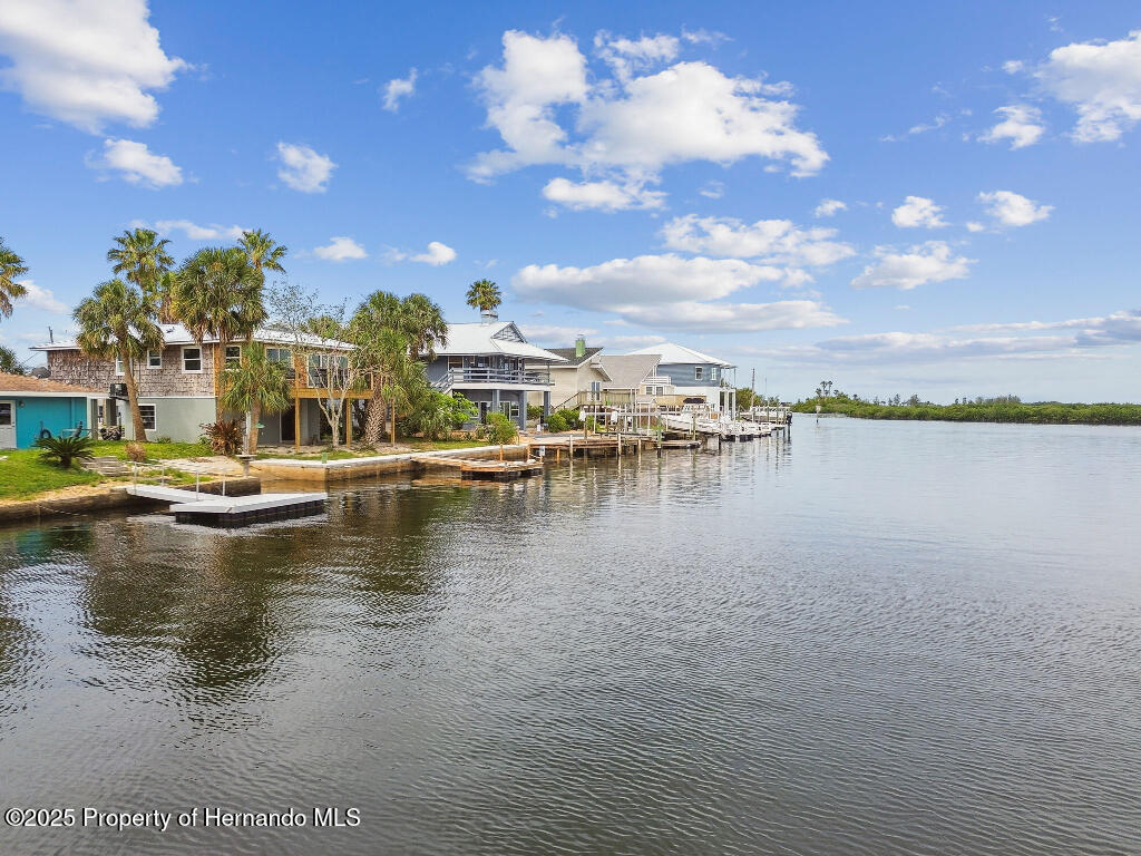 3285 Minnow Creek Drive, HERNANDO BEACH, Florida image 30