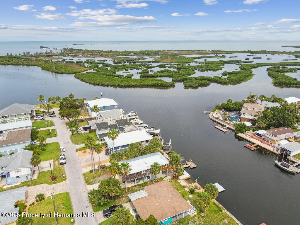 3285 Minnow Creek Drive, HERNANDO BEACH, Florida image 5
